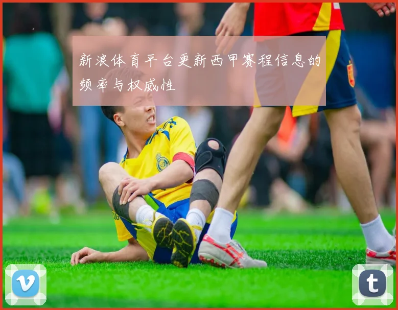 新浪体育平台更新西甲赛程信息的频率与权威性